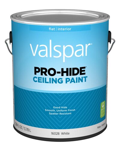 Pro-Hide Flat Ceiling Paint in White - 1 Gallon