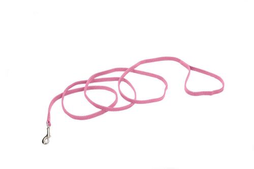 Sunburst Nylon Dog Leash