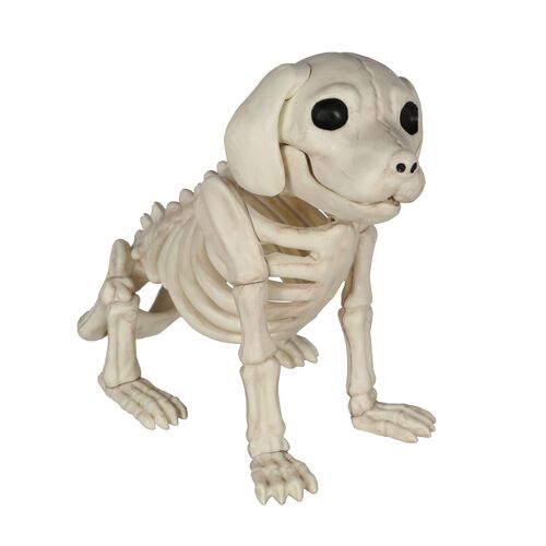 11.5" Sitting Dog Skeleton