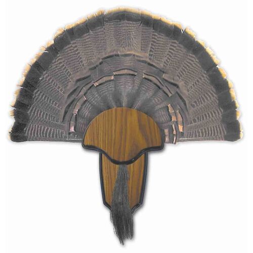 Turkey Tail & Beard Mounting Kit