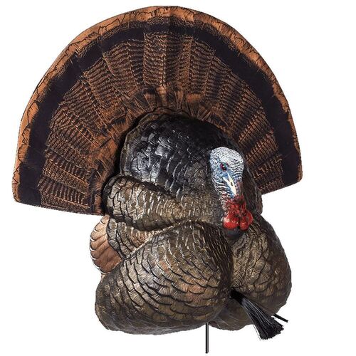 Thunder Creeper Decoy 3 D Rubber Life Size Realistic Male Turkey