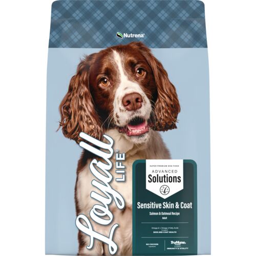 Loyall Life Advanced Solutions Sensitive Skin & Coat Salmon & Oatmeal Recipe Adult Dog Food
