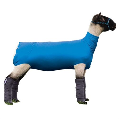 Spandex Sheep Tube in Blue - Medium 110-140 lbs