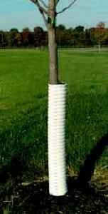 Corrugated Tree Guard
