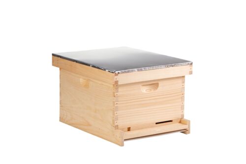 10-Frame Complete Hive