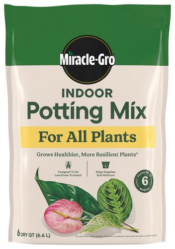 Indoor Potting Mix