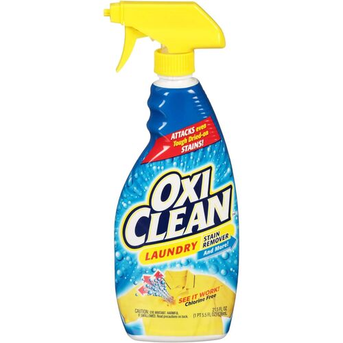 Laundry Stain Remover Spray - 21.5 oz