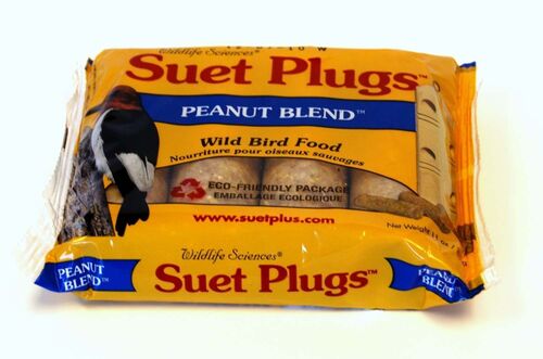 Peanut Blend Suet Plugs - 4-Pack