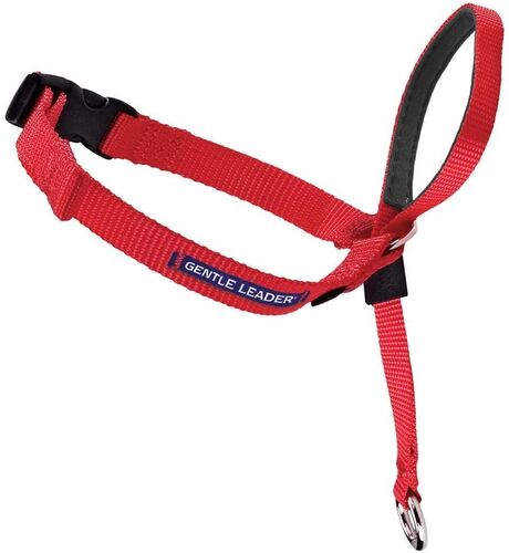 Gentle Leader Head Collar in Red - 60-130lbs