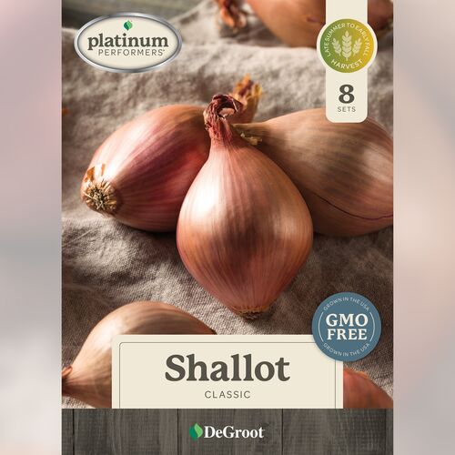 Shallots - Classic 8 Sets