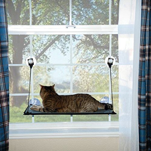 Green Ez Window Mount Kitty Sill - 12 x  23