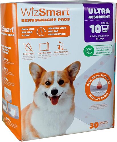 Heavyweight Ultra Asorbant Pads - 30 Count