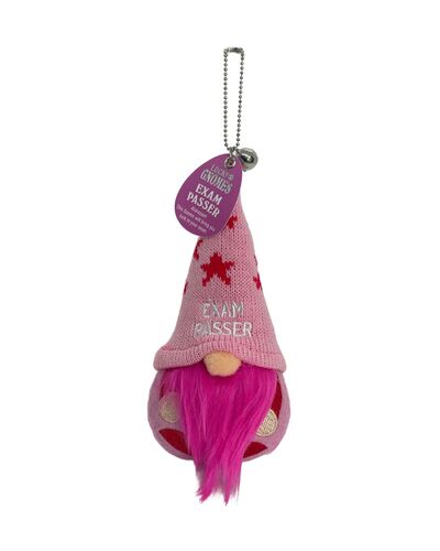 Lucky Gnomes - Exam Passer (Female)