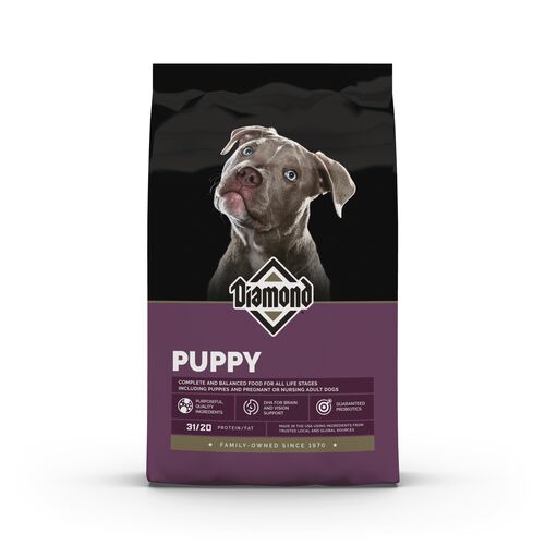 Puppy Dry Dog Food