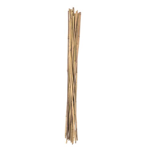Natural Bamboo Stake
