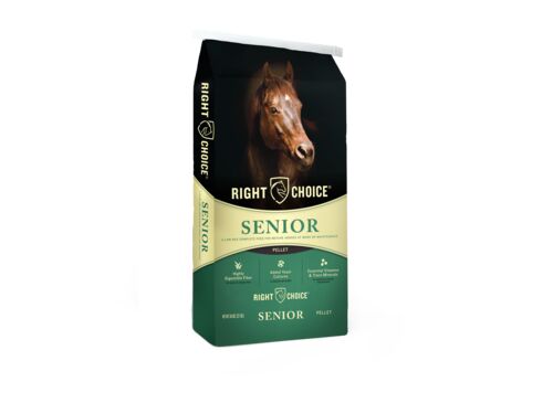 Senior Pelleted Horse Feed - 50 lb
