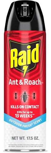 Ant & Roach Killer in Outdoor Fresh Scent - 17.5 oz