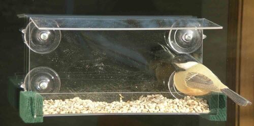 Open Diner Window Feeder
