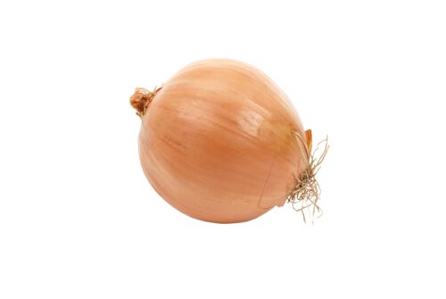 Yellow Bulk Onion Sets - Sold in Bulk Per Pound