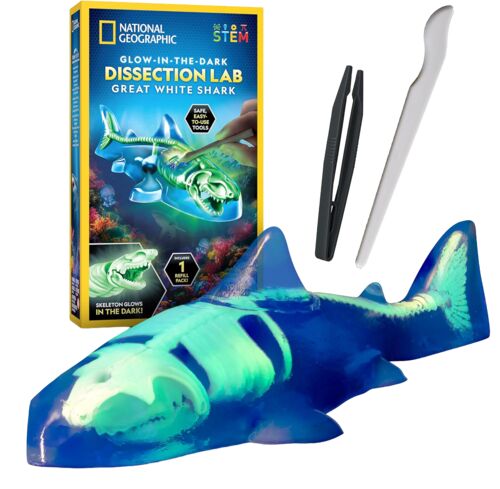 Shark Dissection Kit
