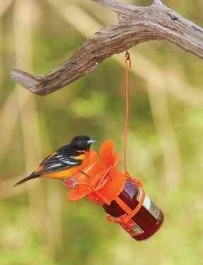 Jelly Jam  Bird Feeder