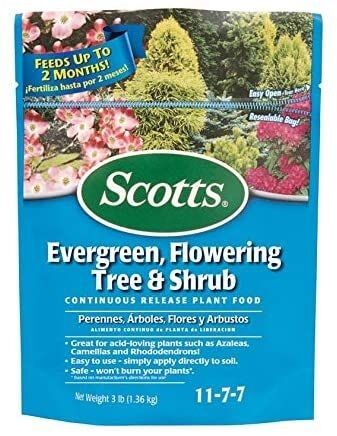 Evergreen, Flowering Tree & Shrub Continuous Release Plant Food - 3 Lb