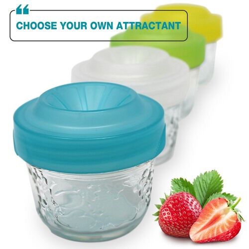 Trap Cap Fruit Fly Catching Lids - 4 Pack