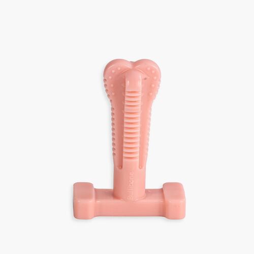 SuperBrush: Dog Teeth Cleaning Brushing Toothbrush Stick