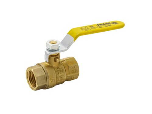 ProLine Series 1/2" Connection FPT x FPT Ball Valve