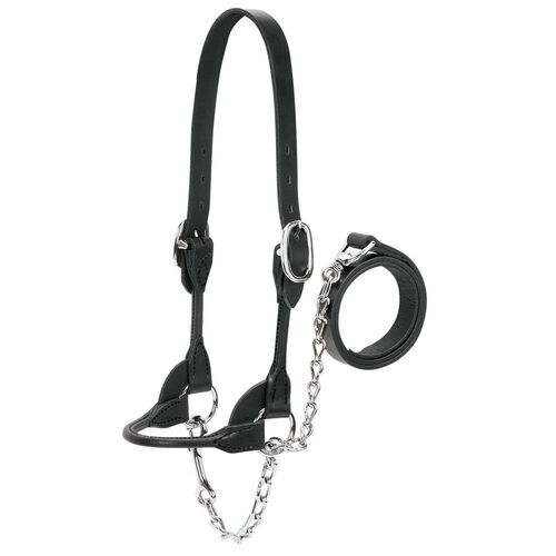 Show Rounded Noseband Strap Heifer Halter
