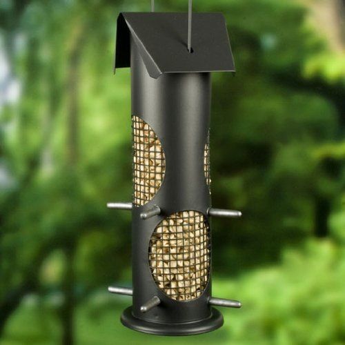 Colorful Surroundings Nut and Seed Feeder