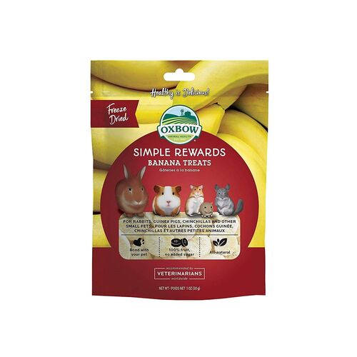 1 oz Simple Rewards Banana Treat