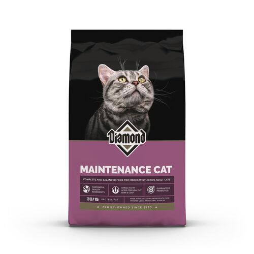 Maintenance Dry Cat Food