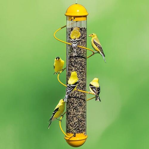 17" Spiral Finch Bird Feeder