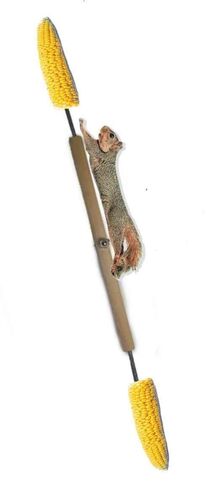Squirrel Spinner Feeder