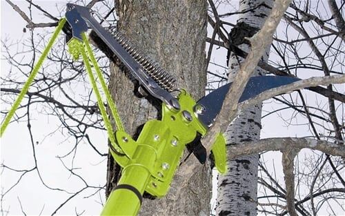 Extendable Pole Saw