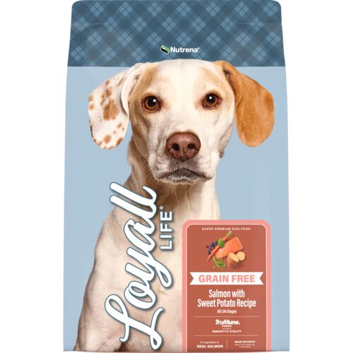 Loyall Life Grain Free Salmon with Sweet Potato Recipe All Life Stages Dog Food - 30 Lb