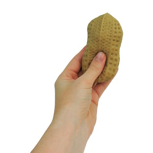 Crunchy Nutz Squishy Toy