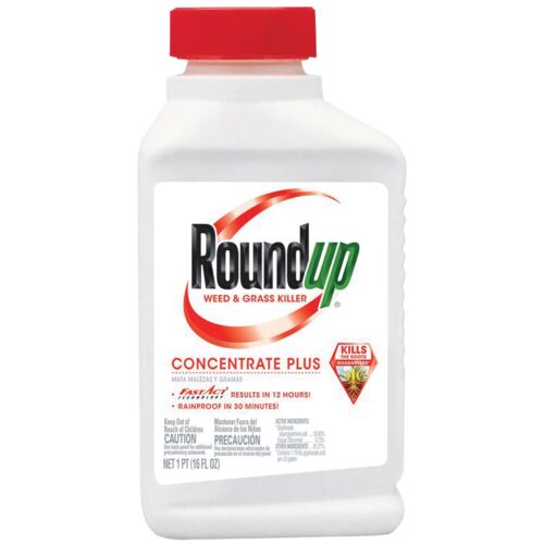 Weed & Grass Killer Concentrate Plus