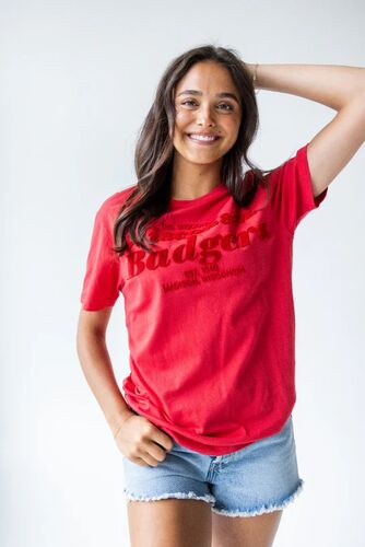 Women's Wisconsin Badgers Hansen Brush T-Shirt