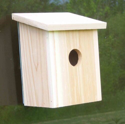 Nest View Bird House Mount