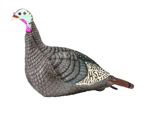 Strut-Lite Hen Decoy