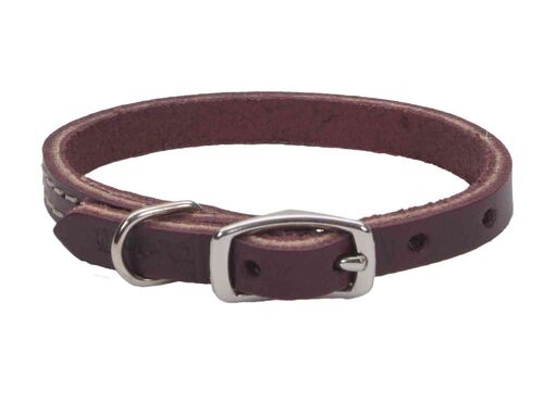 Circle T Leather Dog Leash
