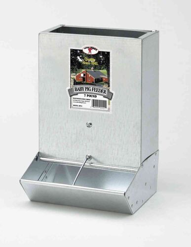 2-Hole Baby Pig Feeder