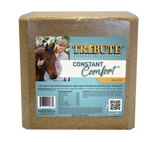 Constant Comfort Block