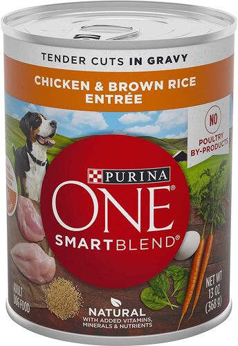 ONE SmartBlend Chicken & Brown Rice Entre Canned Dog Food - 13 oz