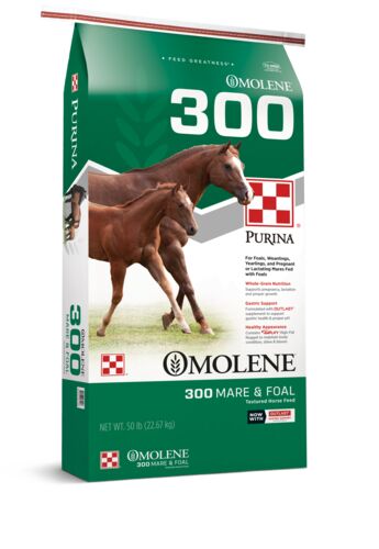 Omolene 300 Growth Horse Feed - 50 lb