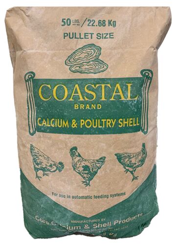 Large Oyster Shells 50#