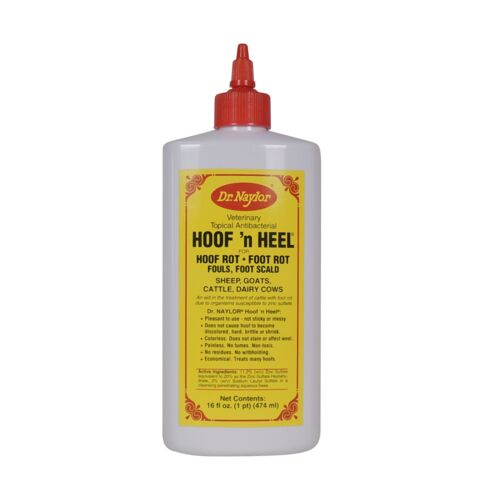 Hoof 'n Heel Foot Rot Treatment - 16 oz