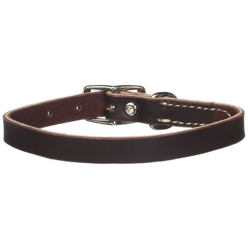 Circle T Leather Town Dog Collar